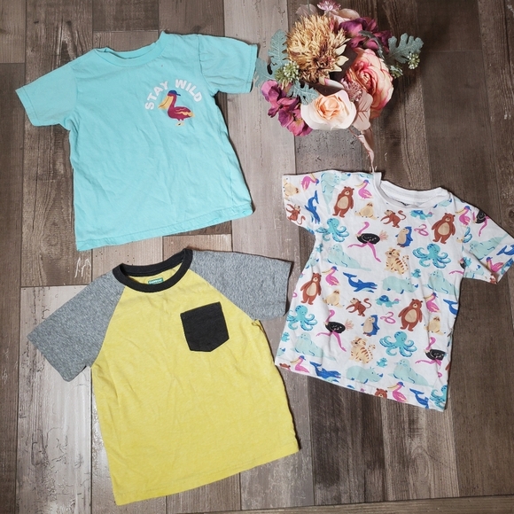 Alex & Jack and Garanimals Size 4T Boys Short Sleeve Casual T-Shirt Bundle GUC - Picture 11 of 15